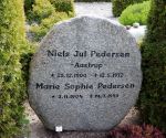Niels Jul Pedersen.JPG